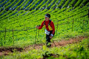 BIB: 142
                            <button type="button" onclick="openModal(19162586)" class="btn btn-primary btn-sm float-right btn-popup" data-toggle="modal" data-target=".modal-high-quality">
                        <i class="fas fa-shopping-cart"></i> Add to Cart
                    </button>
                                            <button type="button" onclick="isThisMe(19162586, true)" class="btn btn-success btn-sm float-right btn-popup btn-isme hidden" data-toggle="tooltip" data-placement="bottom" title="นี่คือรูปของคุณใช่ไหม คลิกที่นี่เพื่อเอาเข้าอัลบั้ม">
                        <i class="fas fa-plus"></i> Add to album
                    </button>
                    <button type="button" onclick="isThisMe(19162586, false)" class="btn btn-warning btn-sm float-right btn-popup btn-isnotme hidden">
                        <i class="fas fa-ban"></i> Remove from album
                    </button>